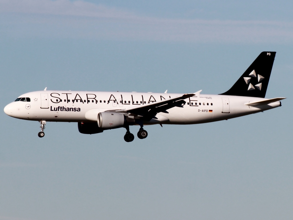 D-AIPD.JPG