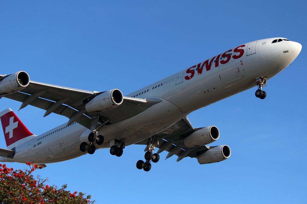 swiss.jpg