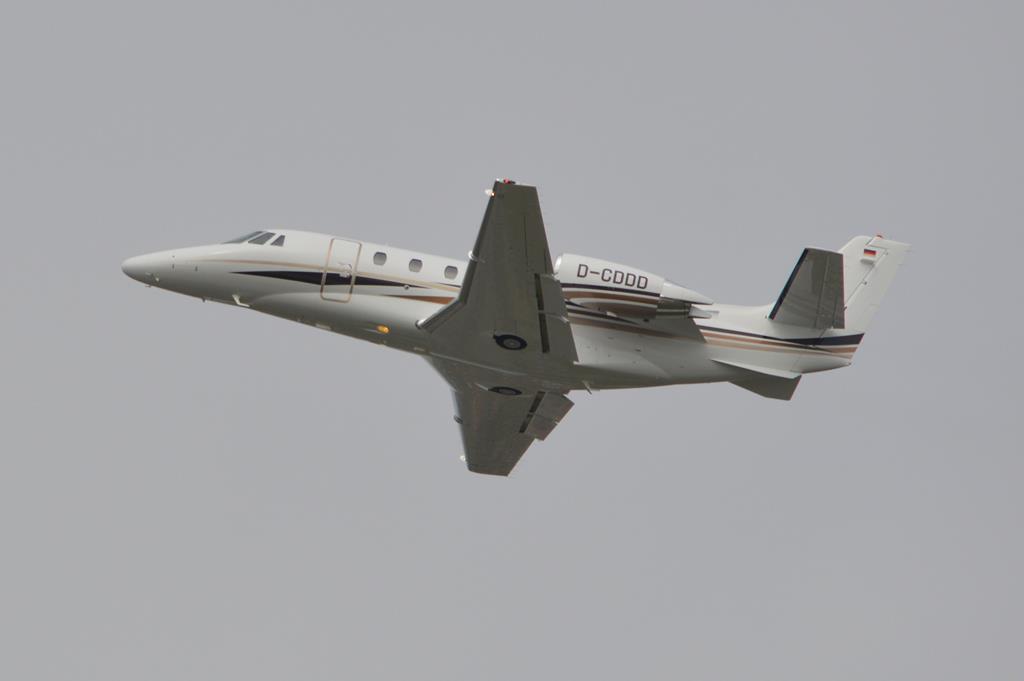 D-CDDD