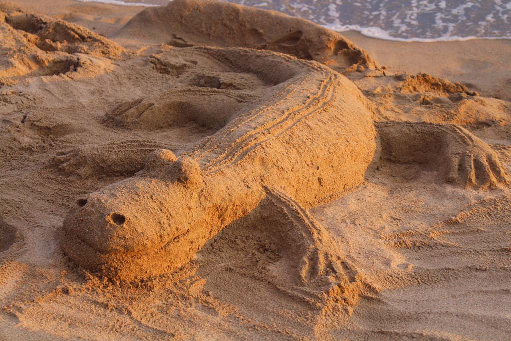 Krokodil am Strand ;D