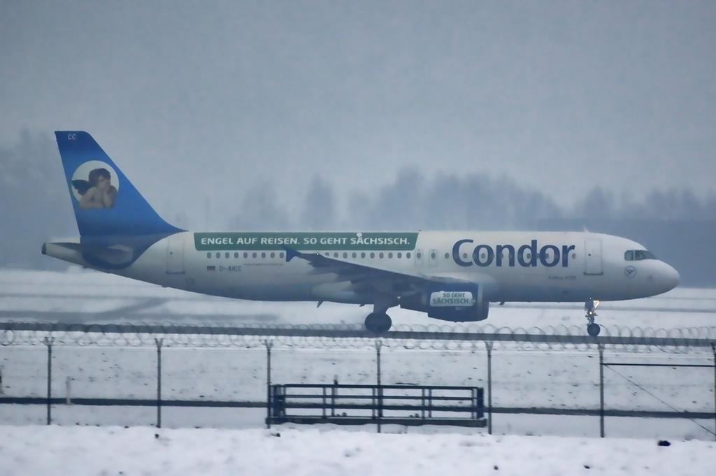 condor.jpg