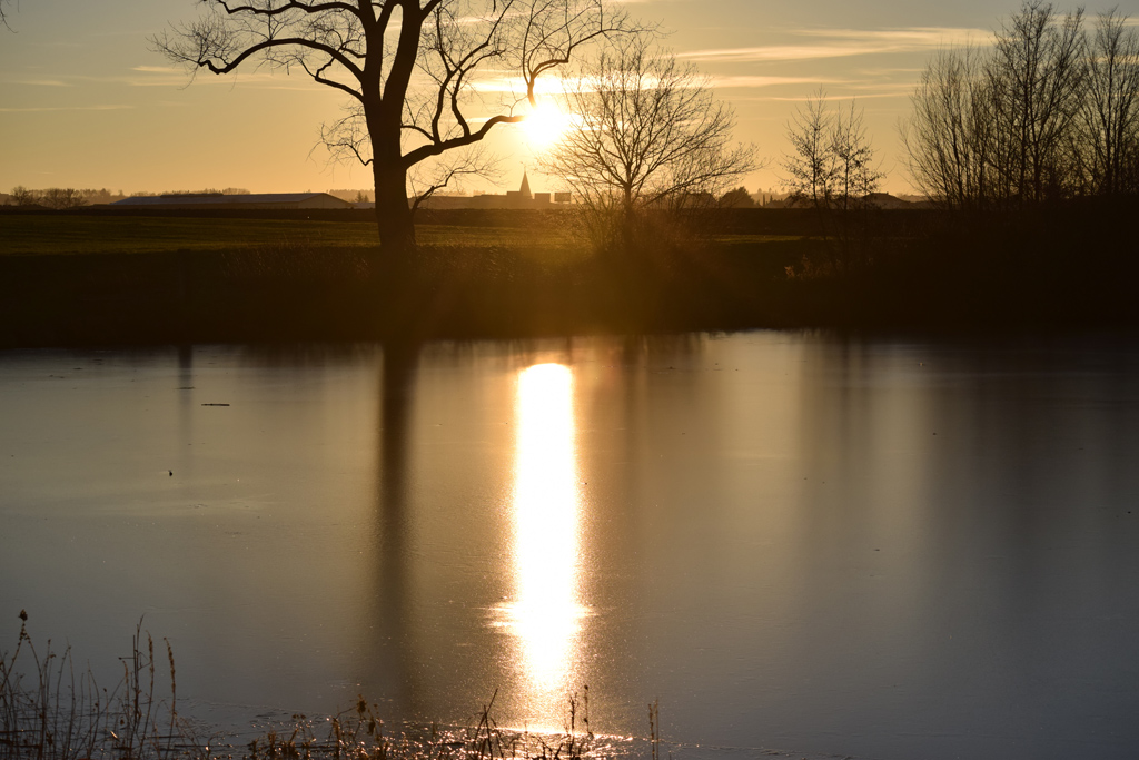 DSC_0392b2.jpg