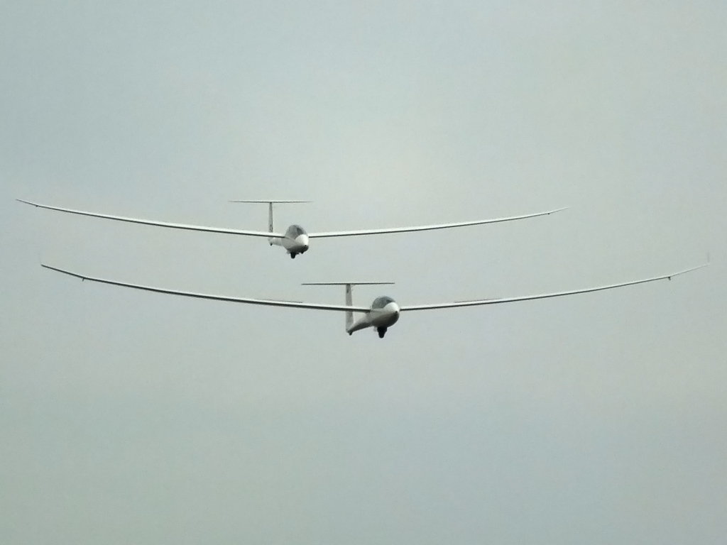 DSCF4990_bb.jpg