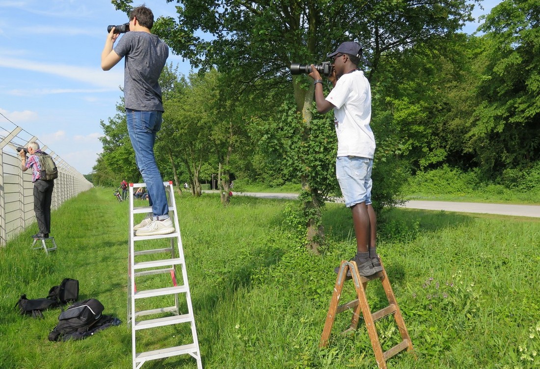 Ohne Leiter geht hier jedoch nicht viel
