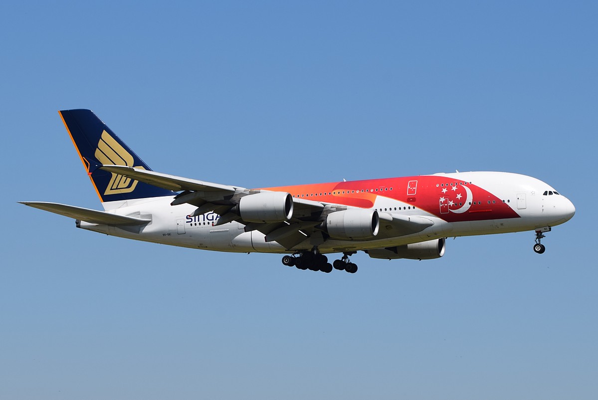 DSC_7490.JPG