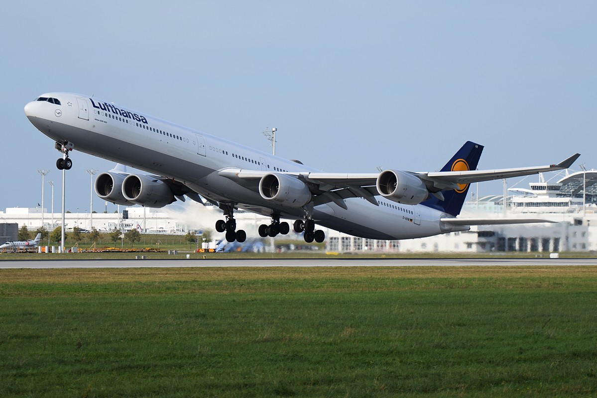 DSC_3177.JPG