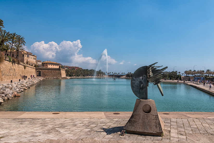 IMG_8229.str.jpg