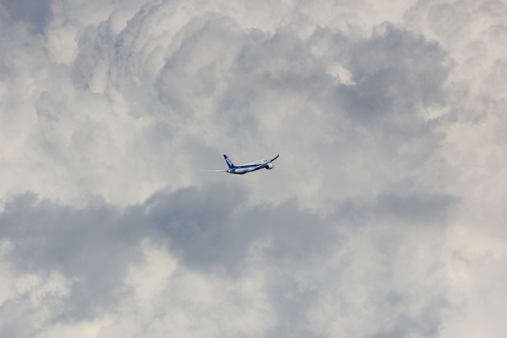 All Nippon Airways Boeing 787-8.JPG
