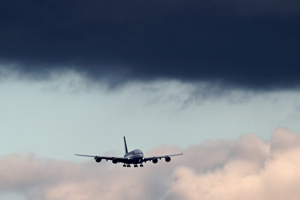 IMG_3483 lichter forum gr.jpg