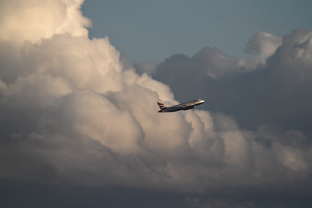 IMG_3533 lichter forum.jpg