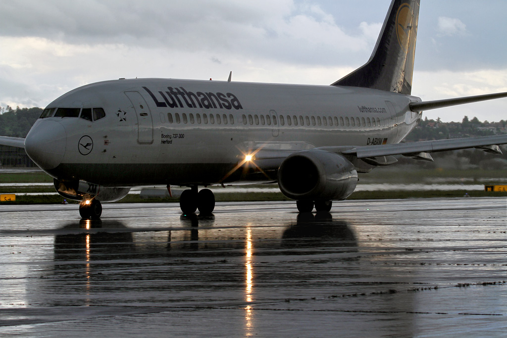 IMG_3844 lichter forum.jpg