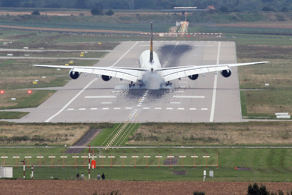 IMG_4166 lichter forum.jpg