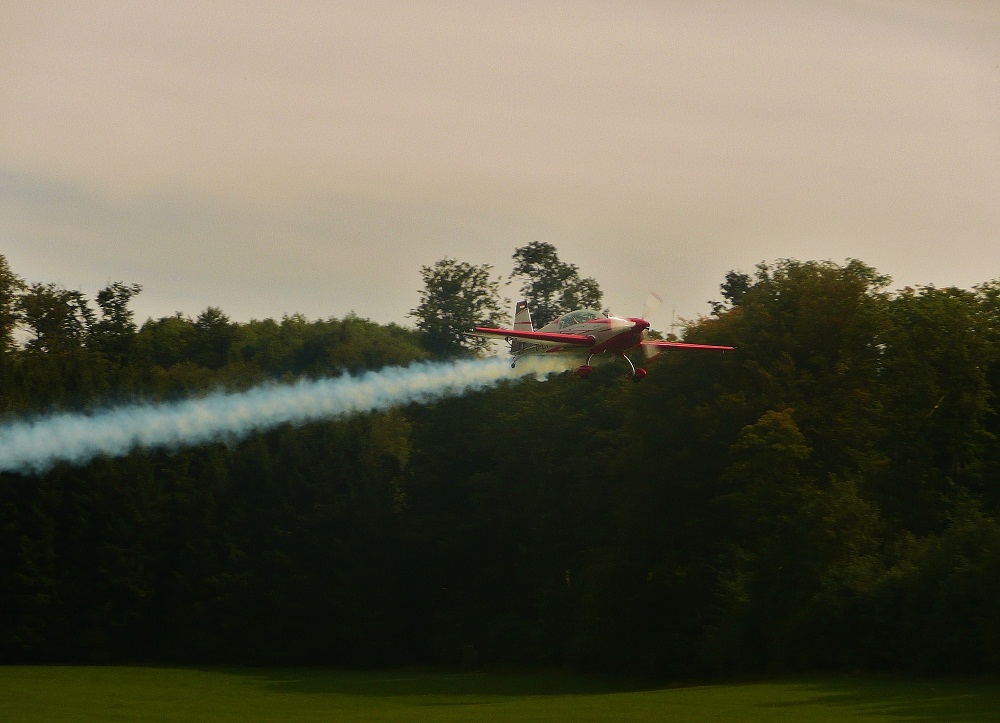 Extra 300S