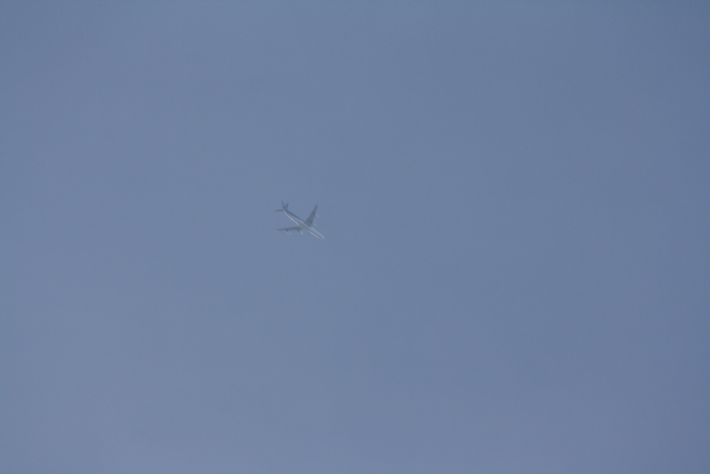 LAN A340 im Anflug auf FRA