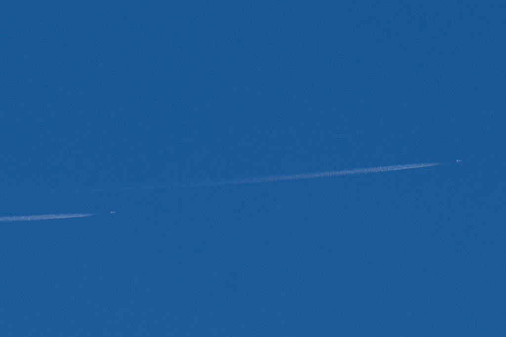 EF.3.jpg