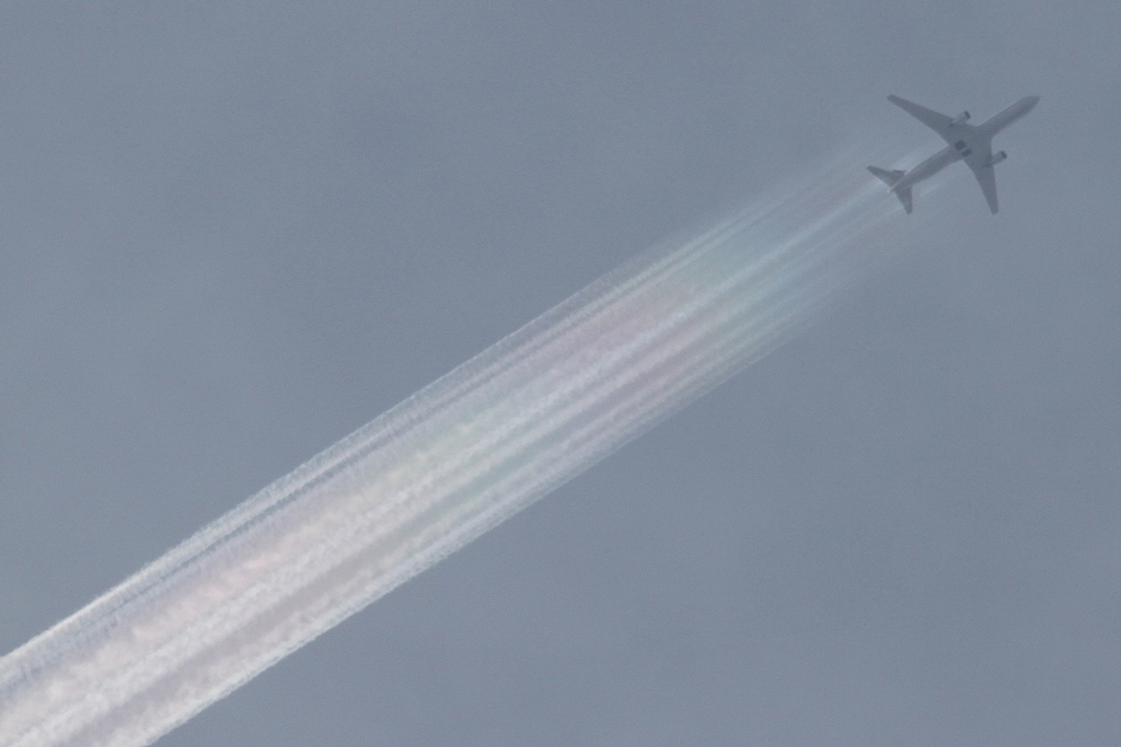 Regenbogenflieger