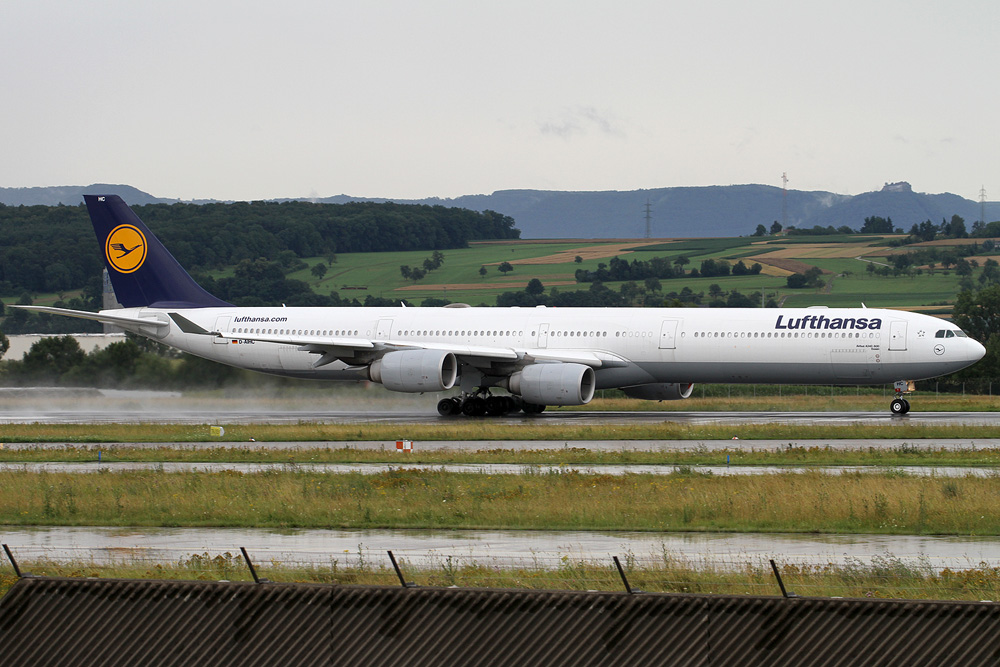 D-AIHC.jpg