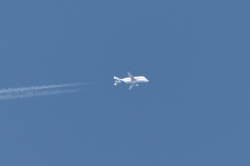 Airbus Transport International Airbus A300F4-608ST Beluga F-GSTC (3)