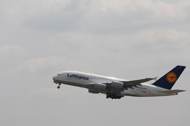 Das Moppelchen vom Kranich